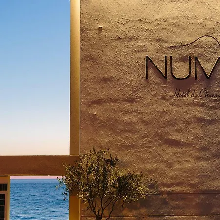 Numa نومانا