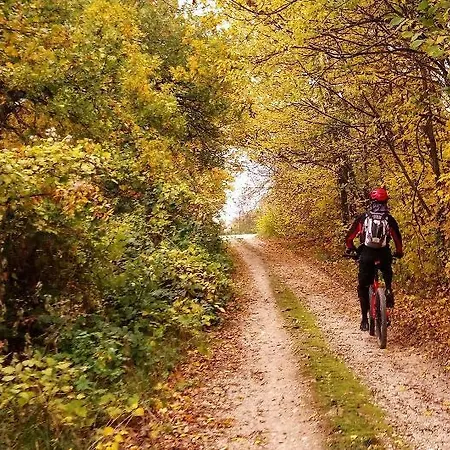 Ξενοδοχείο Numa Numana
